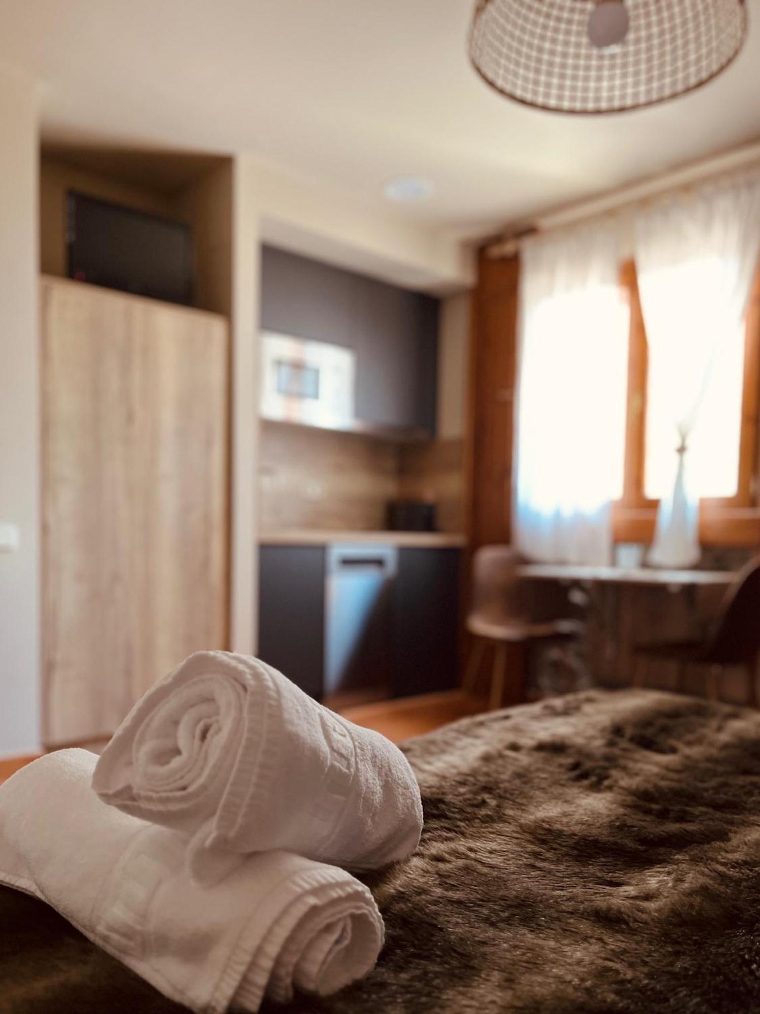 Casa Moline Apartamentos Rurales Aneto Extérieur photo